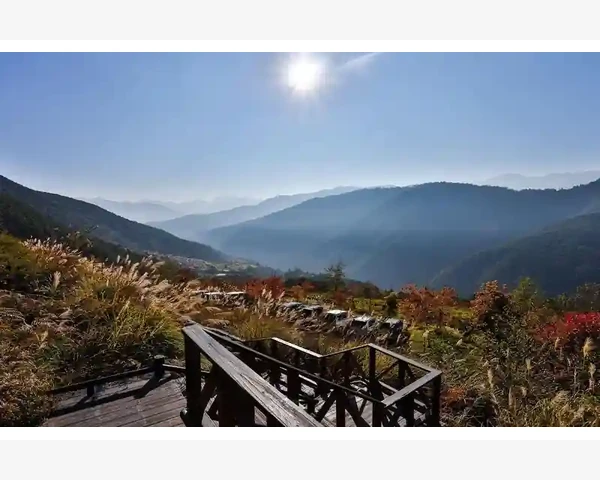 MT4指标参考线添加数量位置设置详解_利用图表窗口右键菜单快速刷新数据