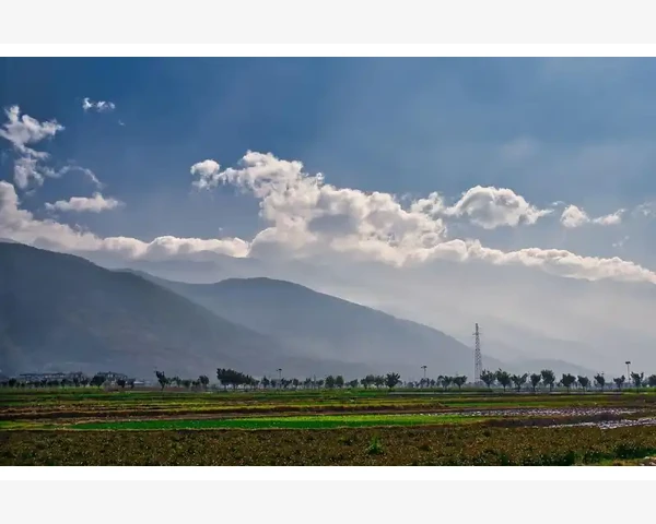 MT4图表卡顿用K线数量限制解决内存占用_为什么K线数量会影响MT4运行速度_4