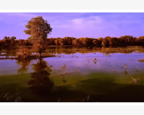MT4昨日结余与开盘余额的隔夜利息差异_昨日结余的计算逻辑与开盘余额的本质区别