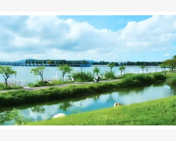 MT4图表买卖箭头标记一键清除方法_阳线和阴线的具体调整技巧