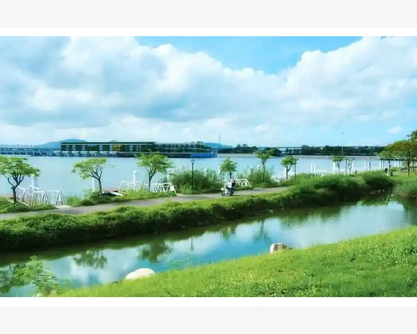 MT4价格标签固定位置问题与手动调整技巧_使用货币强弱指数时的常见问题与实用技巧