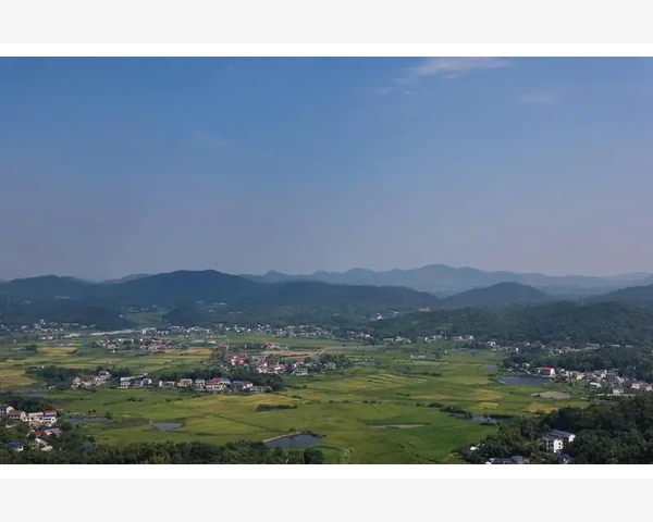 MT4一键切换极短周期看盘技巧_挂单操作提前设置入场和离场条件