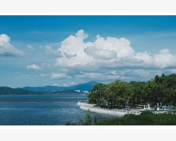 MT4账户余额查看方法详解_电脑版终端栏的余额显示_1