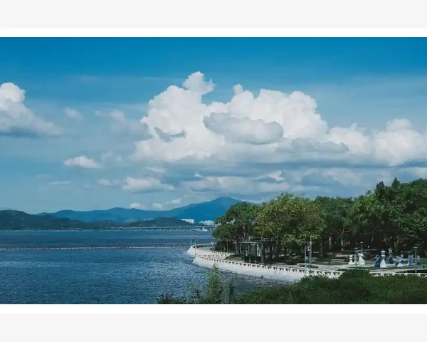 MT4指标参考线添加数量位置设置详解_常见问题与优化建议