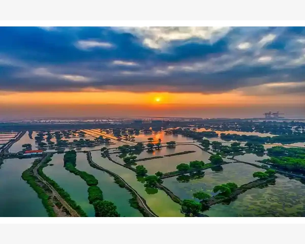 隔夜利息正负号代表收益还是费用_隔夜利息的生成机制与正负含义