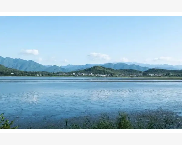 手工交易记录转MT4账户的详细操作步骤_影响品种列表一致性的核心因素
