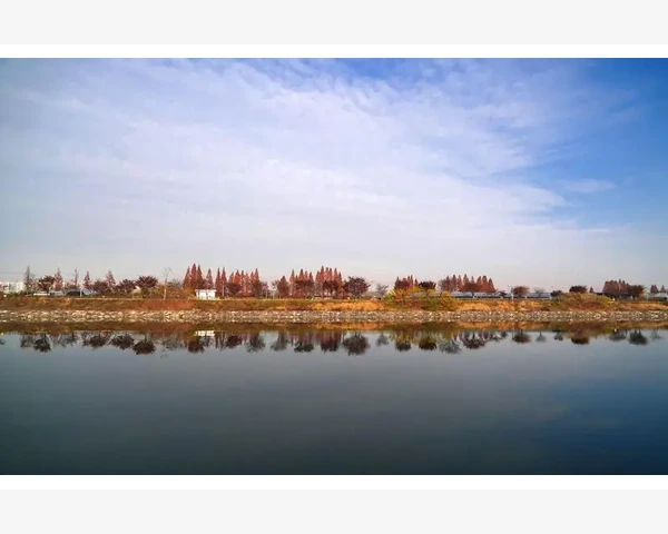 MT4图表与实时走势偏差的成因与修正_常见问题与实用技巧